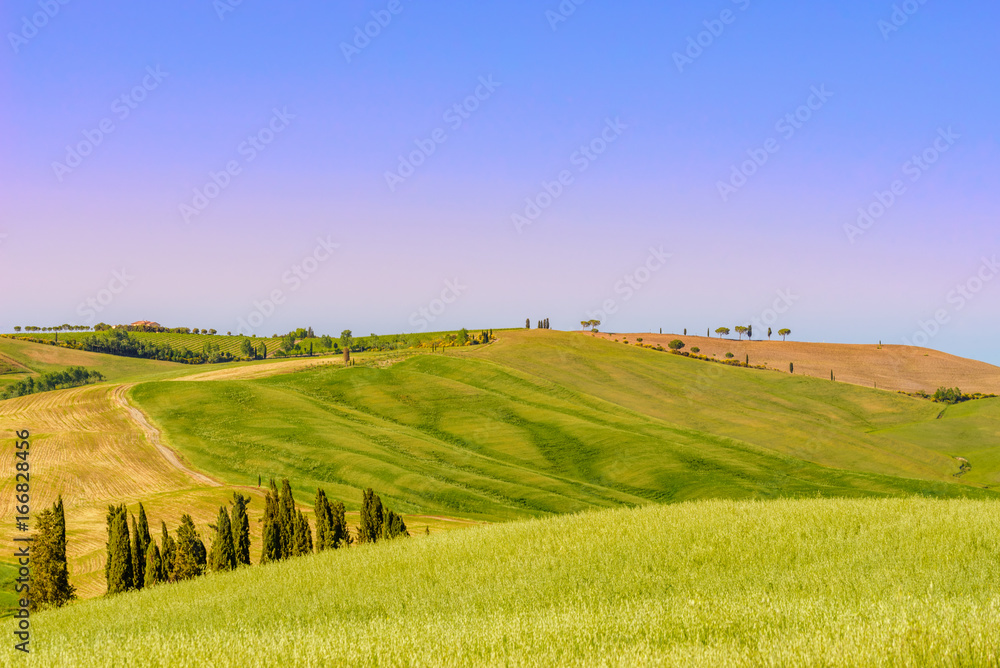 PIENZA, ITALY - MAY 21, 2017 - View of idyllic nature of the Natural Area of Val d'Orcia, Tuscany in spring season.