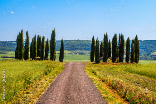 PIENZA, ITALY - MAY 21, 2017 - View of idyllic nature of the Natural Area of Val d'Orcia, Tuscany in spring season.