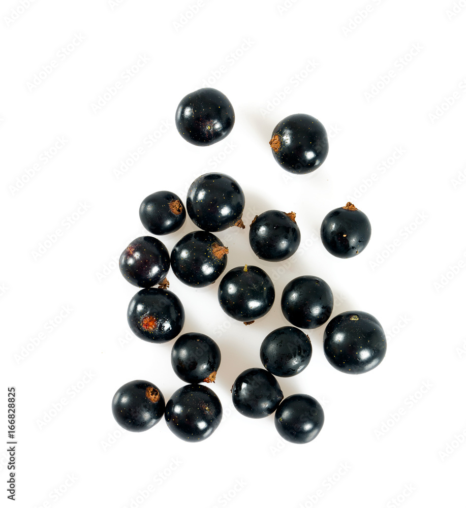 black currant isolated black currant isolated