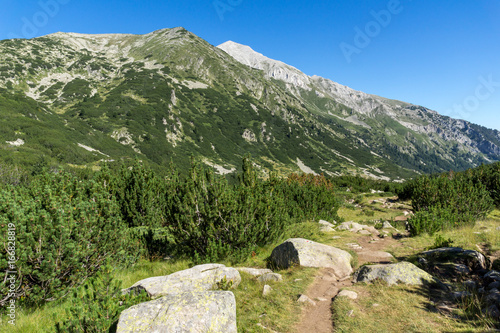 Amazing Landscape with Hvoynati and Vihren Peak, Pirin Mountain, Bulgaria photo