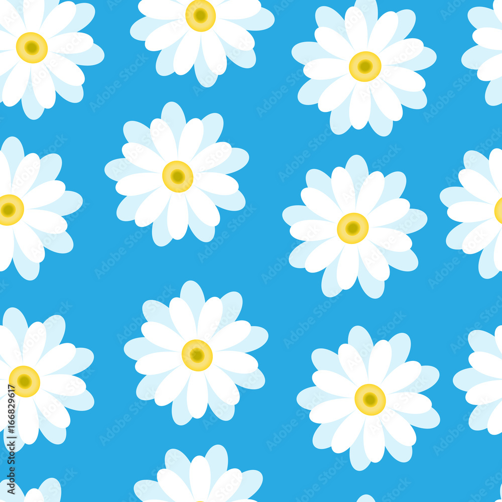 white daisies on a blue background white daisies on a blue background