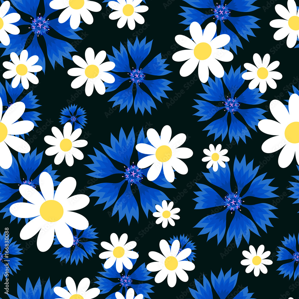 white daisies and blue cornflowers white daisies and blue cornflowers