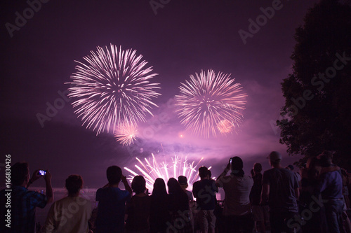 Night celebration fireworks festival Vancouver ocean shore background
