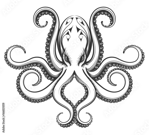Octopus engraving illustration