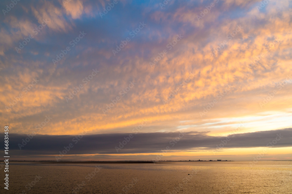 Waddensea with coastline of Den Helder and swimming seal at sunset, Netherlands