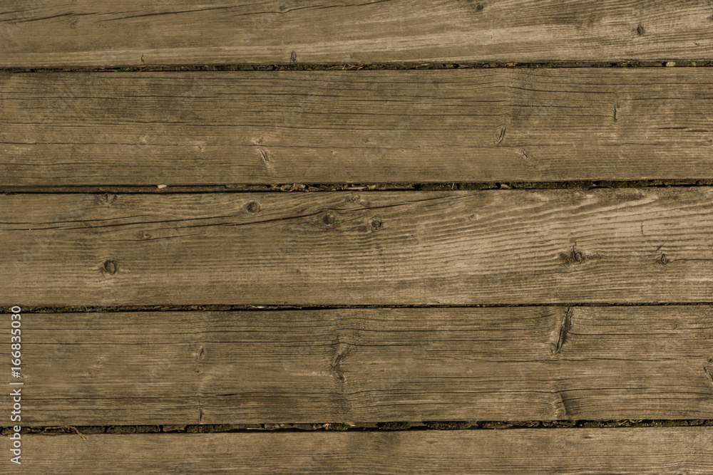 Obraz premium old wooden plank - Vintage wood background, texture