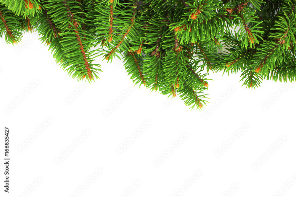 New year frame for congratulations of Christmas tree branches New year frame for congratulations of Christmas tree branches