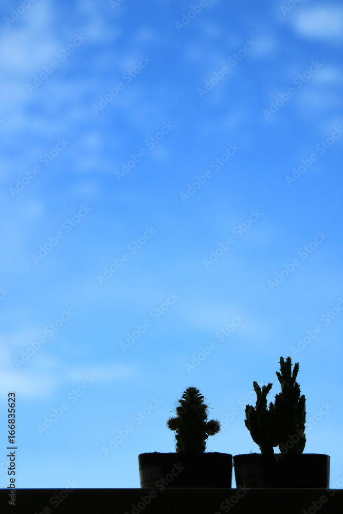 Silhouette of two mini cactus against vivid blue sky, blurred background with free space for design and text