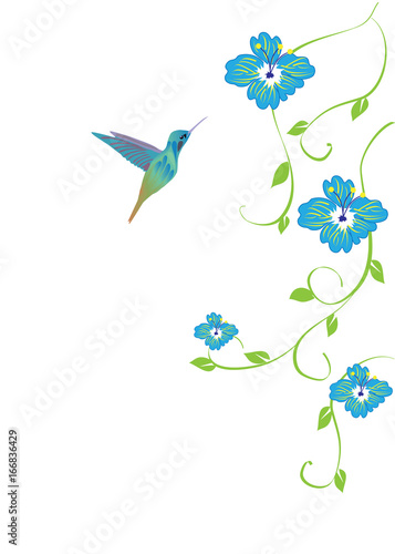 Hummingbird and flowers