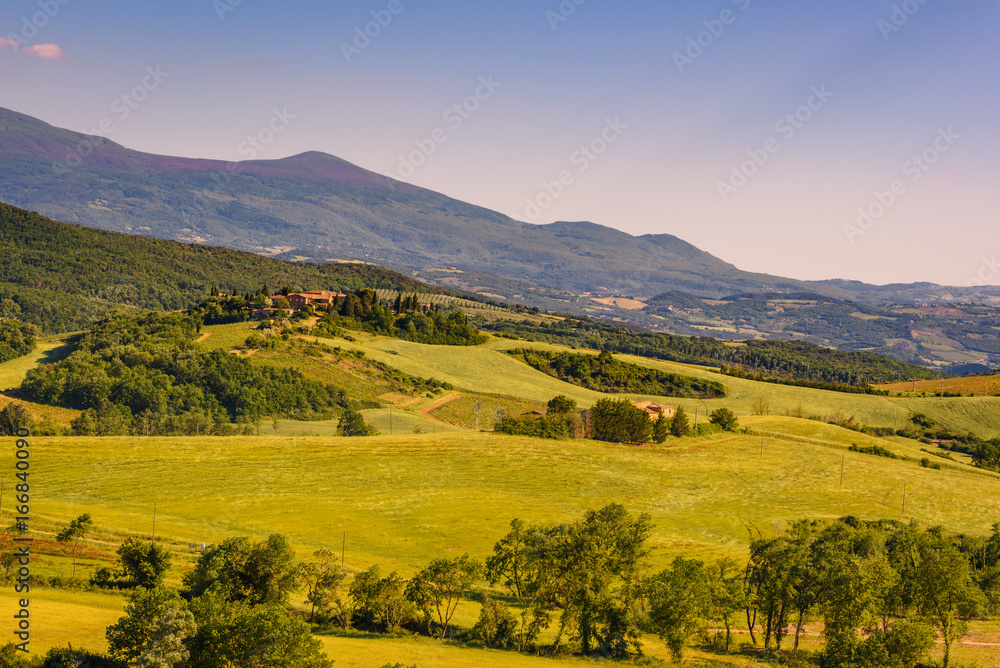Tuscan countryside in summer