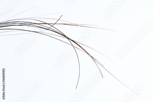 Macro of human dark hair
