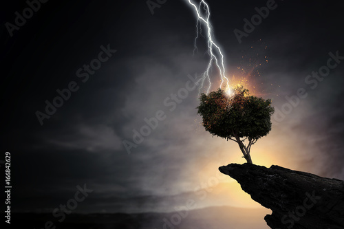 Bright lightning hit the tree photo