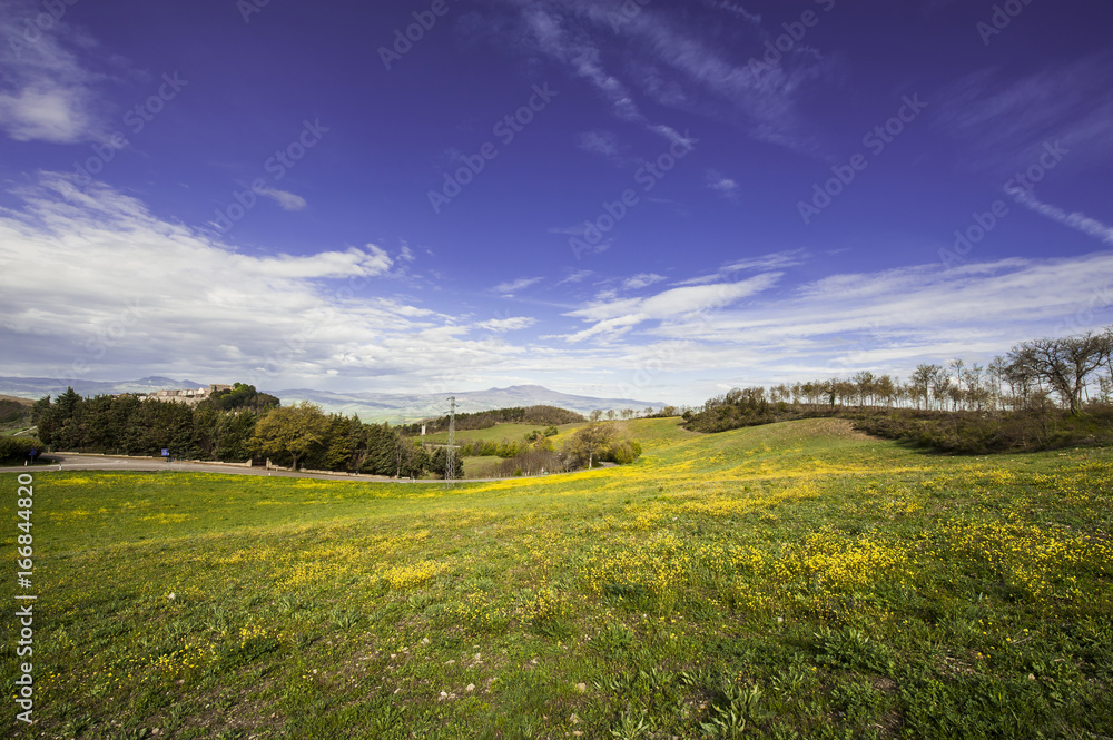 Fototapeta premium Italian landscape with Trevinano