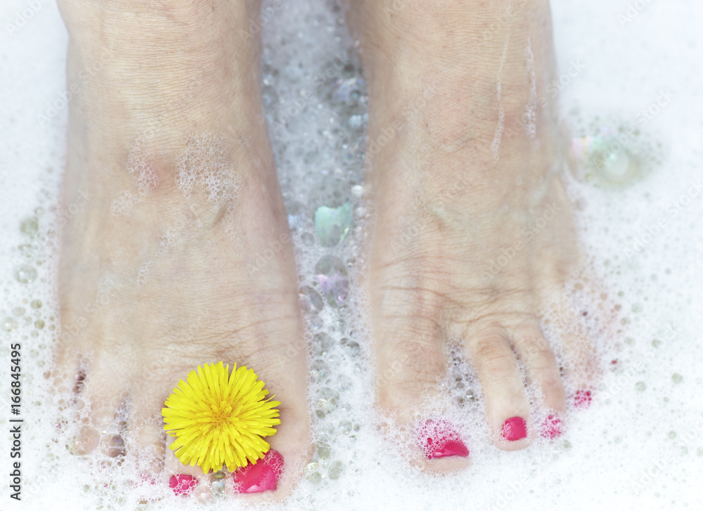 Fototapeta premium Middle Aged Woman's feet soaking with a Dandelion