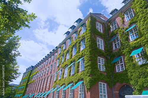 Photography Brick building with walls covered by ivy under the summer sun