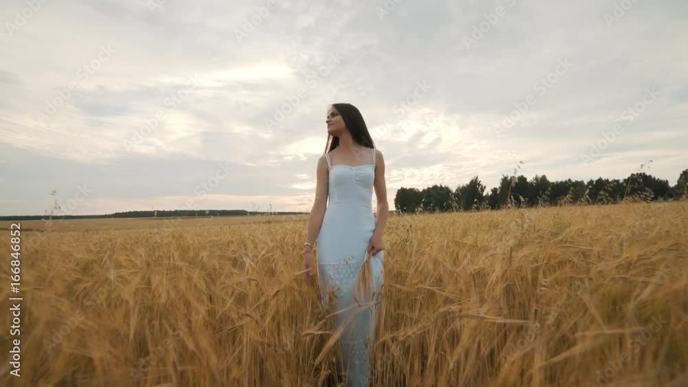 happiness, nature, summer holidays, vacation and people concept - young woman in white dress walking along cereal field happiness, nature, summer holidays, vacation and people concept - young woman in white dress walking along cereal field