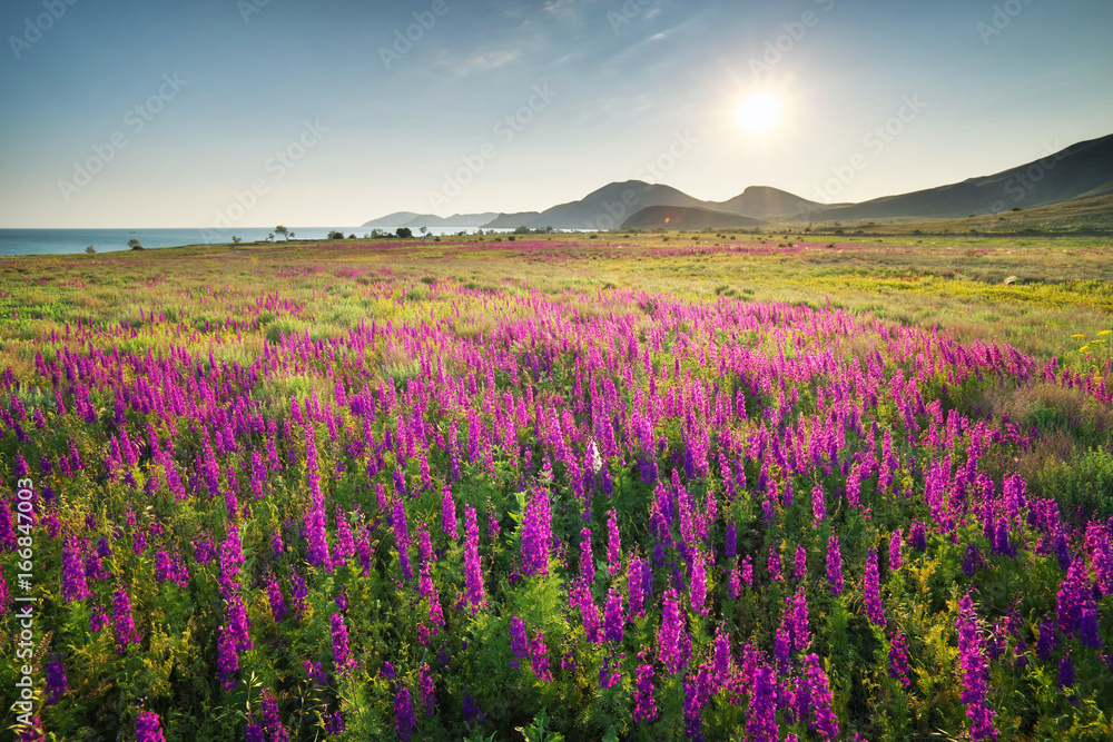 Obraz premium Beatiful nature landscape.