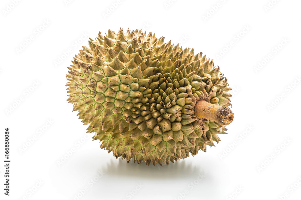 fresh durian on white background fresh durian on white background