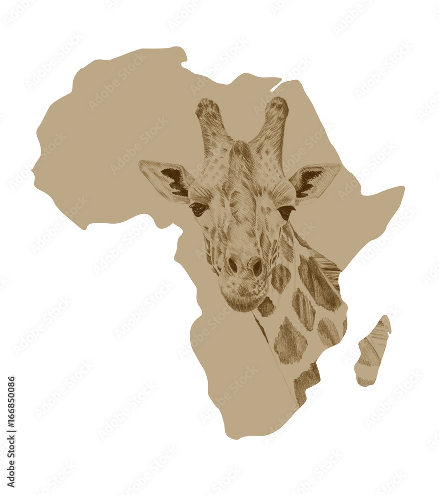 Obraz premium Map of Africa with drawn giraffe
