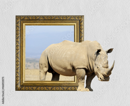 Rhino in frame with 3d effect
