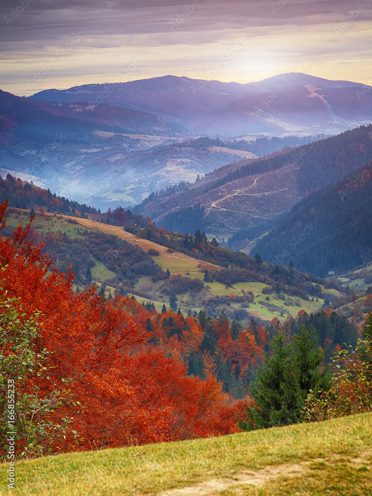 Obraz premium autumn forest and mountains in the background