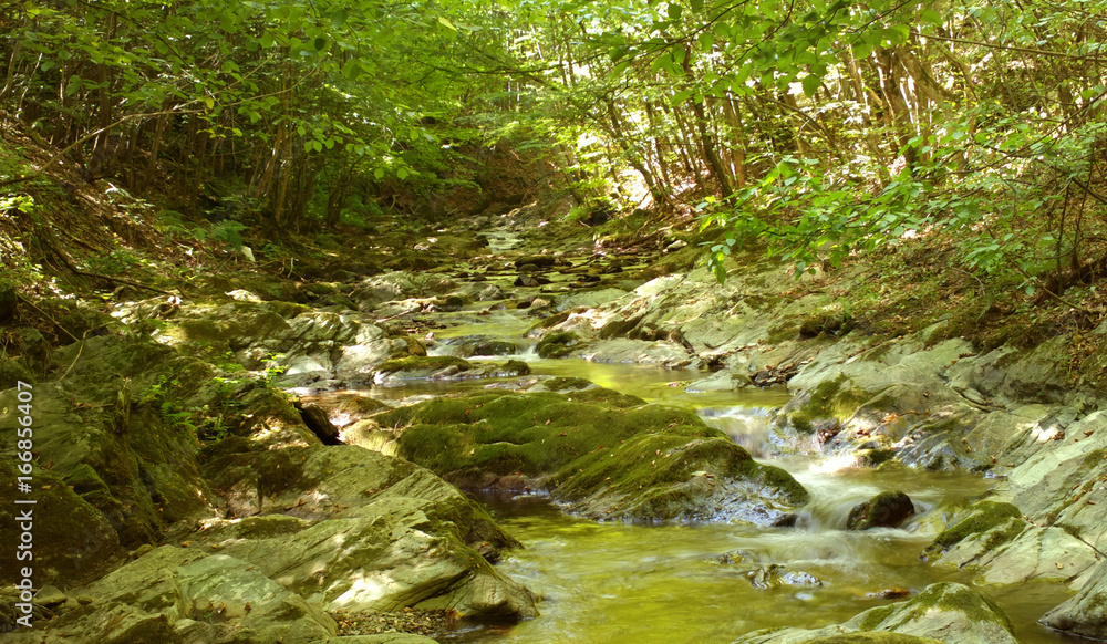 Mountain spring Mountain spring