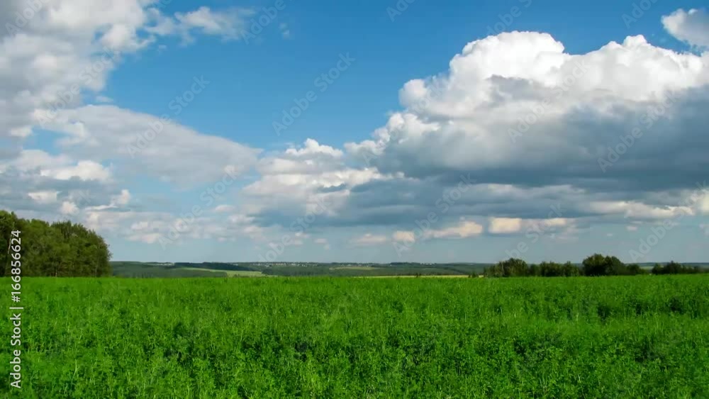 Landscape Landscape