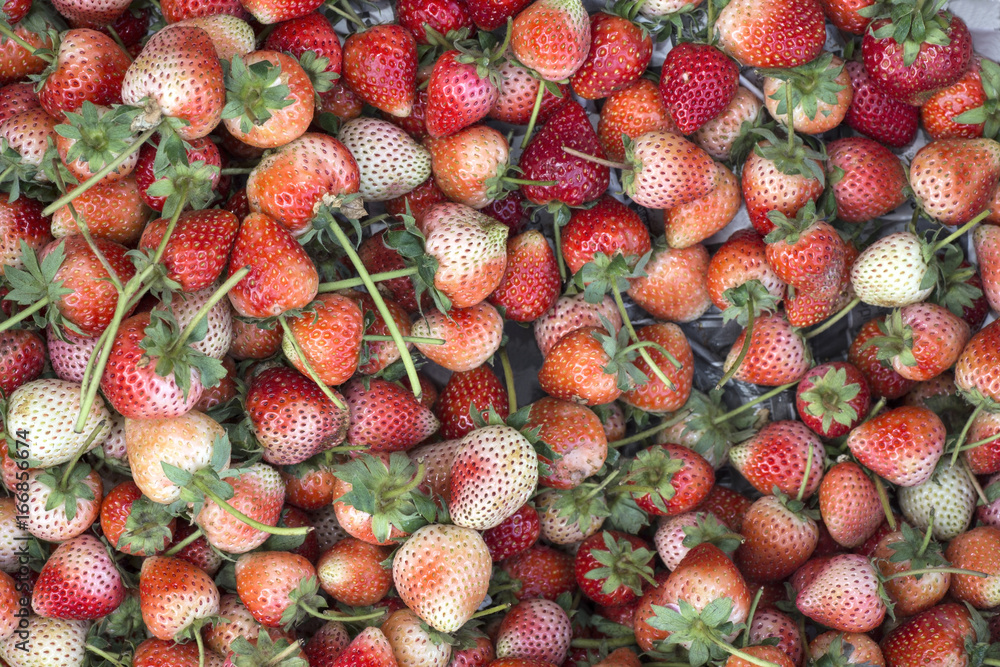 fresh organic strawberries closeup background fresh organic strawberries closeup background