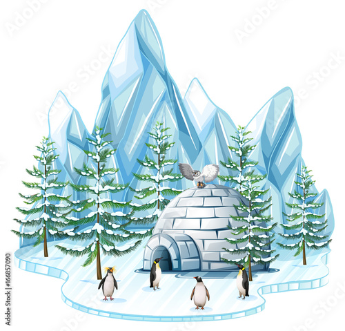 Penguins and owl by the igloo