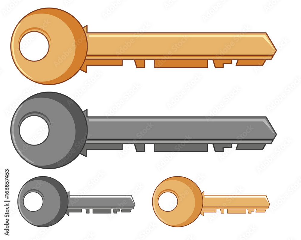Fototapeta premium Silver and golden keys