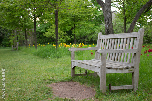 bench in a garden with tulips