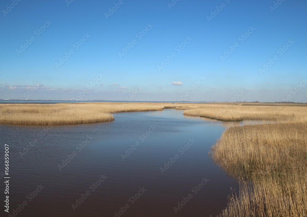 Flußmündung am Dollard Flußmündung am Dollard