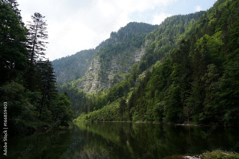 Uriger Bergsee in Wald und Berglandschaft