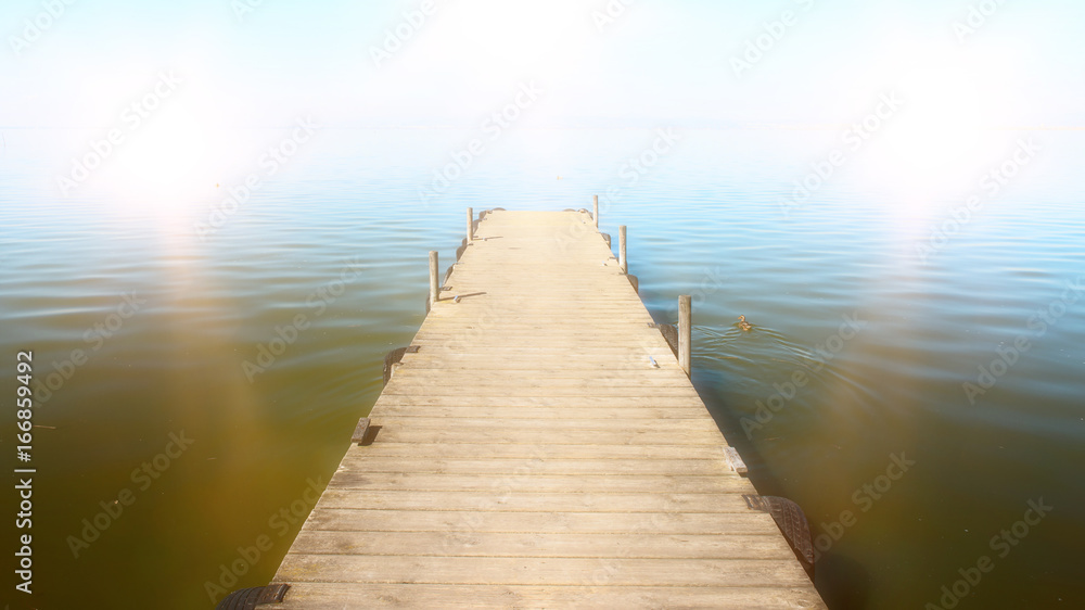 Fototapeta premium Naturschutzgebiet Albufera Valencia im Gegenlicht