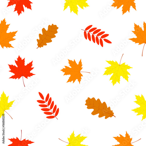Fototapeta Naklejka Na Ścianę i Meble -  Falling leaves. Seamless pattern with autumn falling leaves. Vector illustration