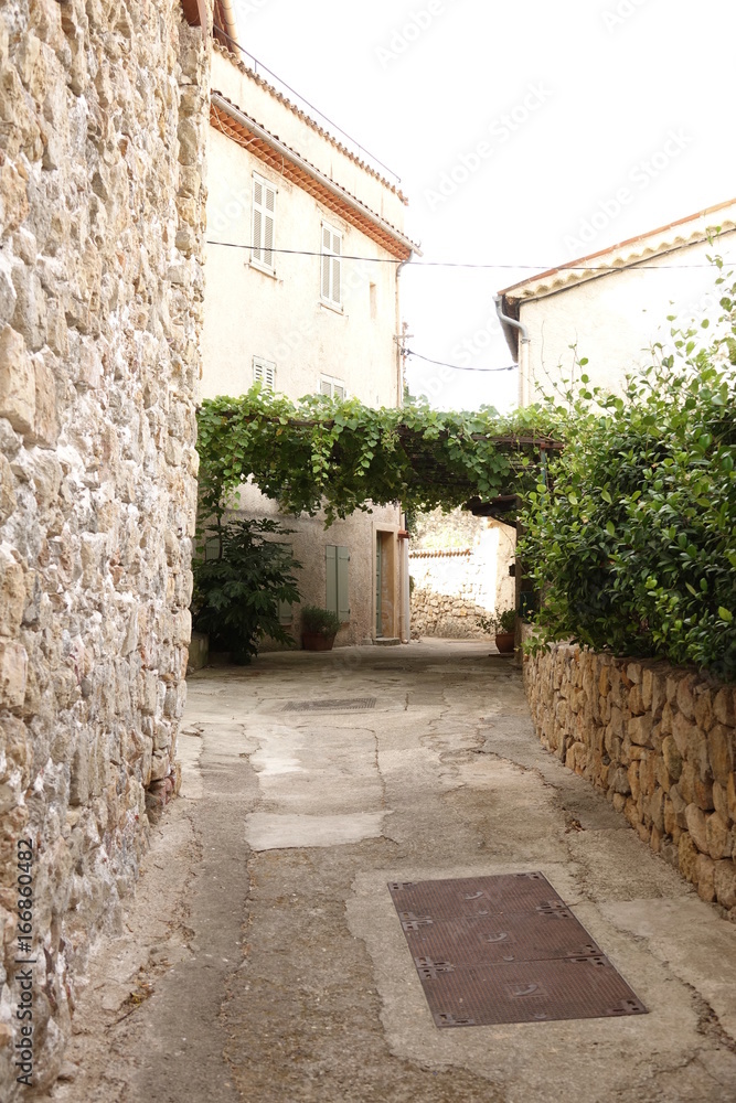 Obraz premium Village