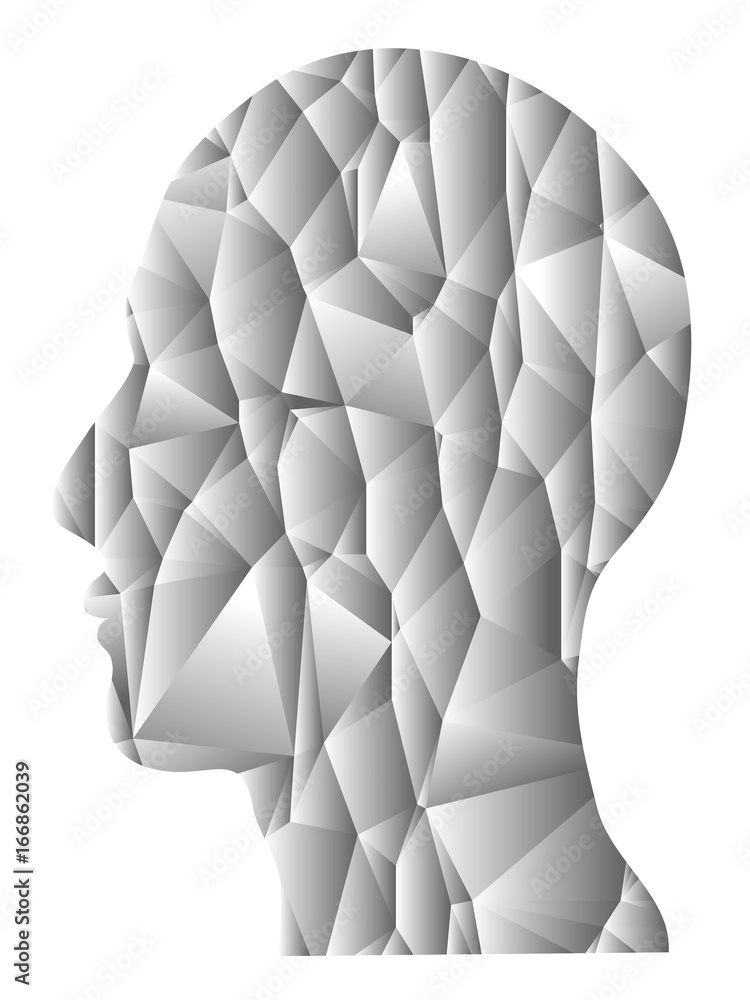 Obraz premium gray gradient Geometric head