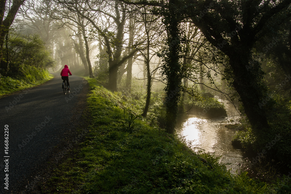 Obraz premium Balade en vélo
