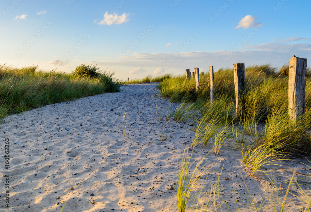 Naklejka premium Weg zum Strand
