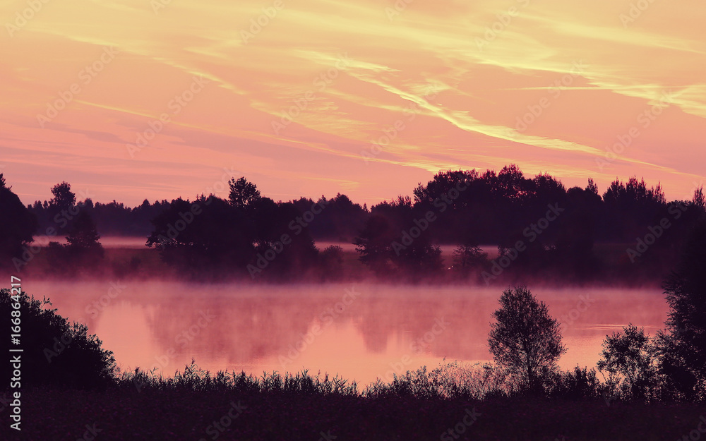 Naklejka premium Morning river in summertime