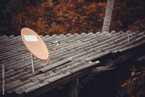 Satellite dish on the roof with plant.