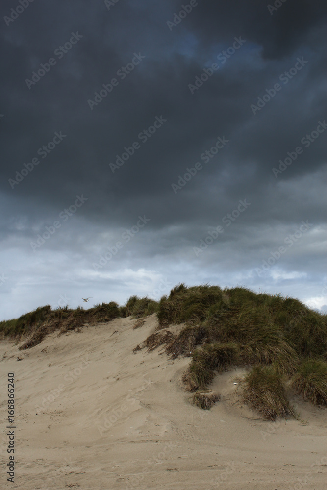 Kurz vorm Sturm an der Düne Kurz vorm Sturm an der Düne