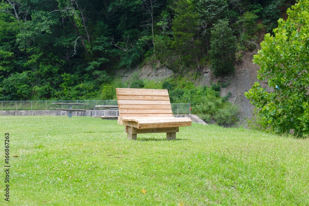 The empty wood park bench in the park. The empty wood park bench in the park.