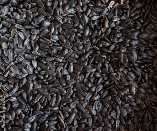 Wallpaper Mural Fried sunflower seeds as background. Torontodigital.ca