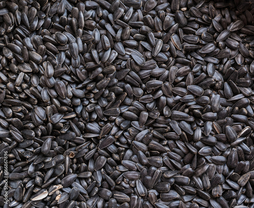 Fried sunflower seeds as background.