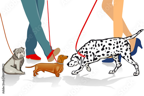 Spaziergang mit Hund illustration