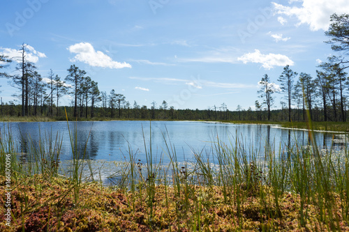 Viru Raba swamp lake in Estonia.