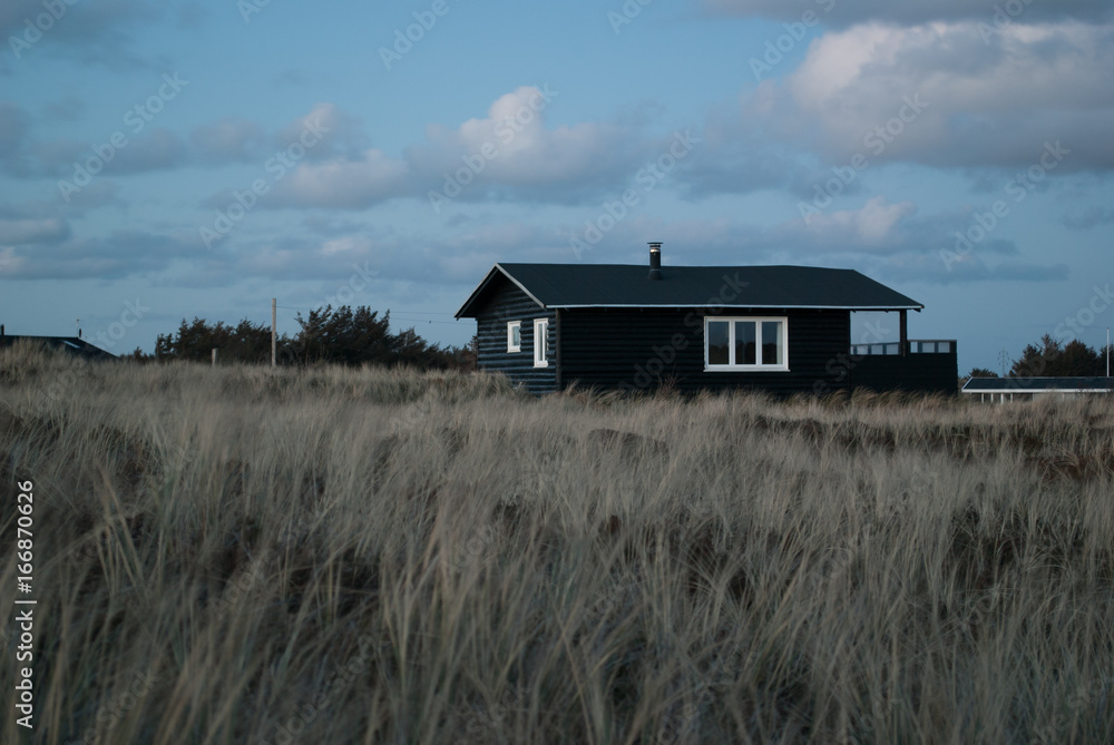 Obraz premium Haus im Gras