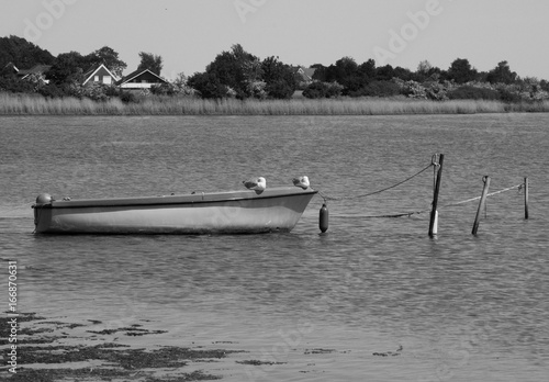2 Möwen und das Boot