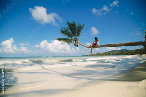 Junge Frau, die auf einer Palme sitzt und auf das Meer sieht photo